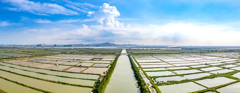 水産養殖